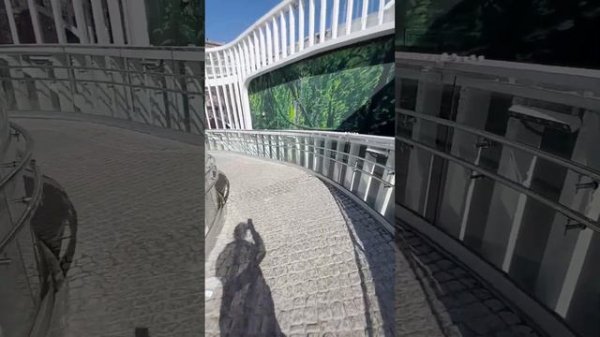 Путешествие в Московский зоопарк 🦧🦩 / Journey to the Moscow Zoo 🐊🐘