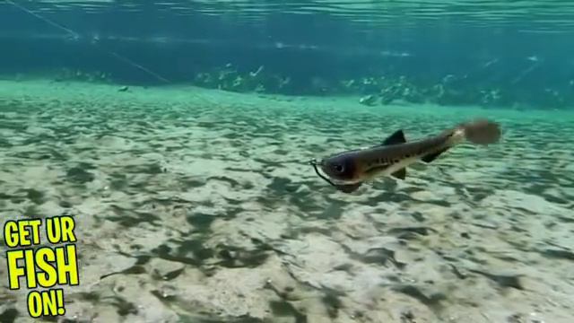 How does the Thunderhawk swimbait Thunderbelly swim смотреть онлайн