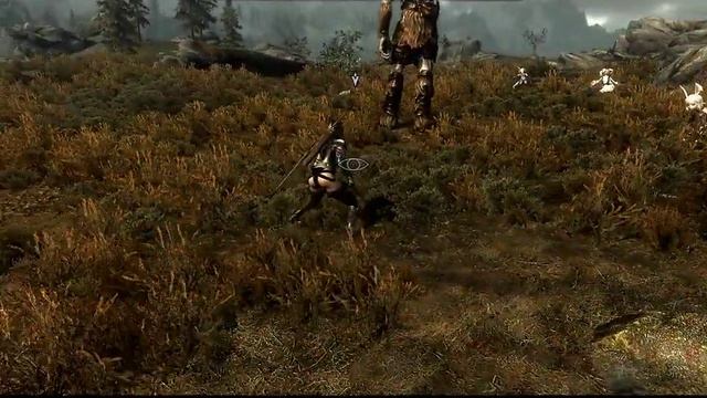 Skyrim　思い出の夜 смотреть онлайн
