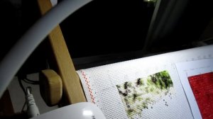 Живой процесс,  вышивка крестиком май