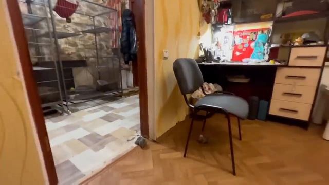 Люська НАПИЛАСЬ КОФЕ и сидит ИКАЕТ! Соня отказывается играть с Владом пока у него ЛЮСЬКА НА ШЕЕ! смотреть онлайн