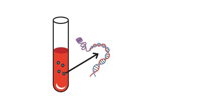 Whole Exome Sequencing смотреть онлайн