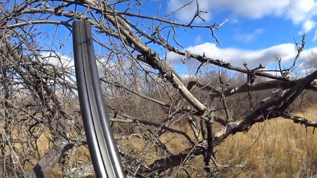 не состоявшийся армагеддон для ворон смотреть онлайн