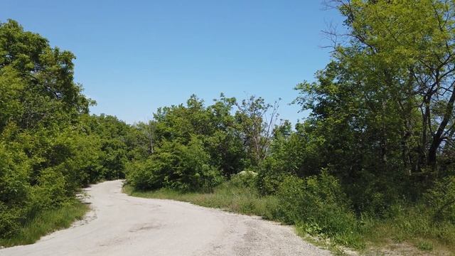 DJI Osmo Pocket. 4К 60fps. 14.05.2019 Алушта, Республика Крым смотреть онлайн