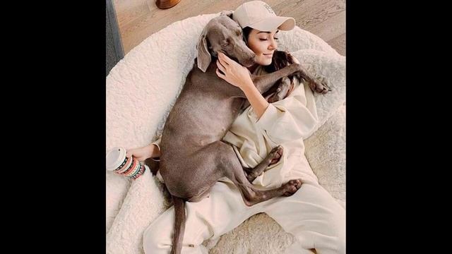 Готовы ли вы увидеть роскошный дом Ханде Эрчел за миллион долларов? смотреть онлайн