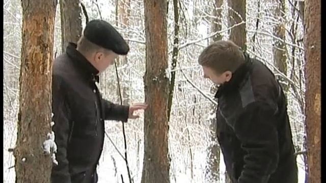 Деревья на раздачу смотреть онлайн