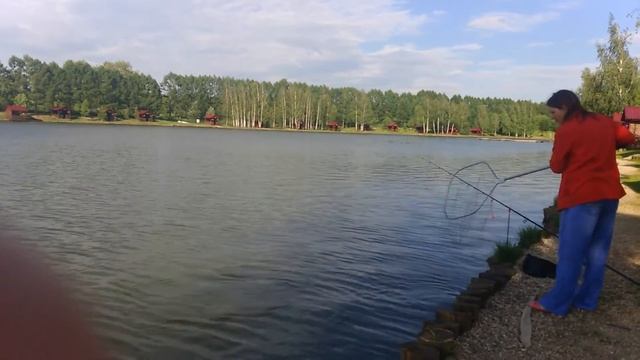 Р. К. "Золотой Сазан" Карп на 7 кг. смотреть онлайн