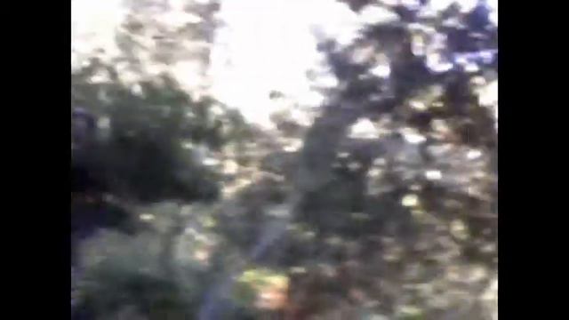Chascarro -- Afirmate Mierda-- смотреть онлайн