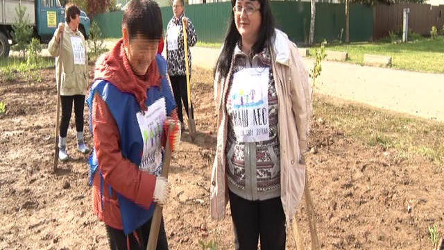 Старт Губернаторской акции «Наш лес. Посади свое дерево» прошел в Бородино смотреть онлайн