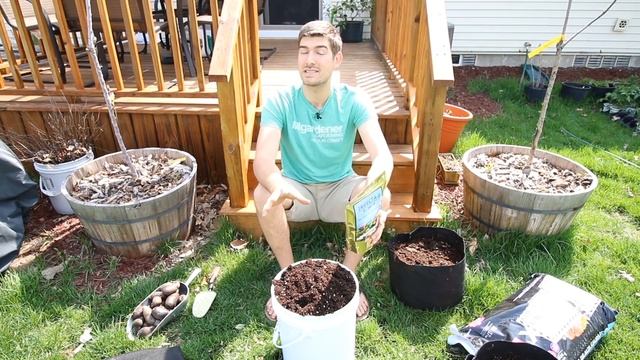 How to grow Potatoes In Containers - Complete Growing Guide смотреть онлайн