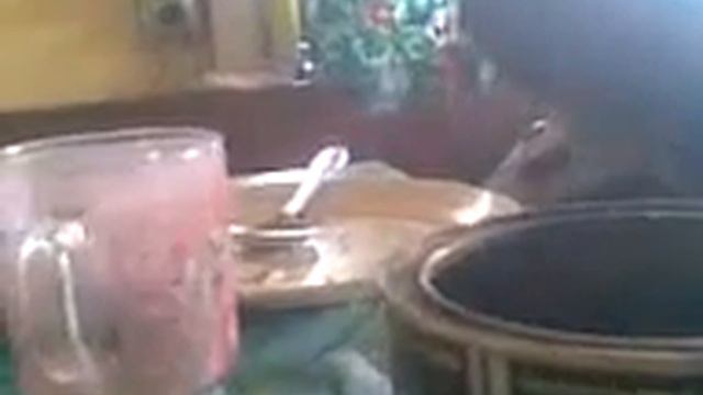 Велосипед смотреть онлайн