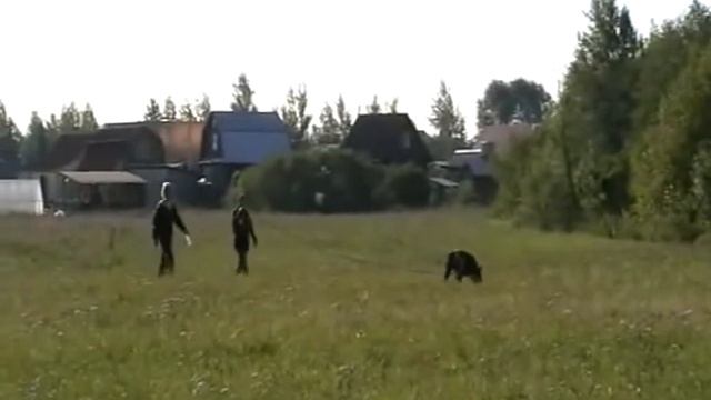 Прада след 07 09 2014 YouTube смотреть онлайн