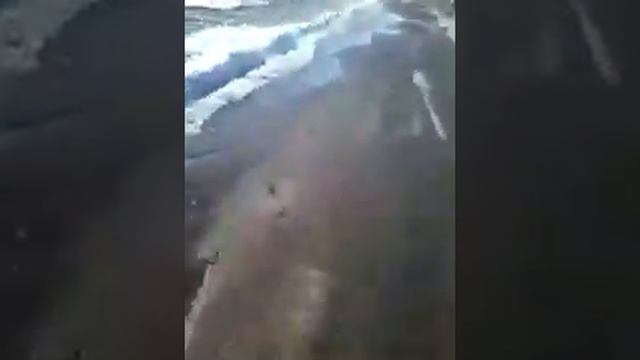 с. Веселовка потоп смотреть онлайн