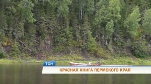 КРАСНАЯ КНИГА ПЕРМСКОГО КРАЯ