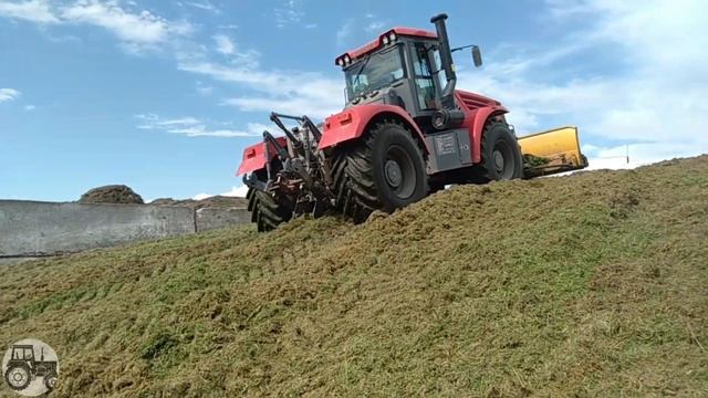 Подготовка и закрытие силосной ямы. Заготовка силоса 2020. смотреть онлайн