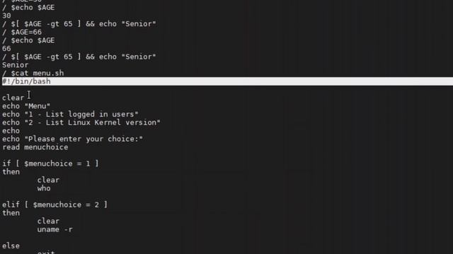 Logical Statements Bash Script [Tagalog] смотреть онлайн