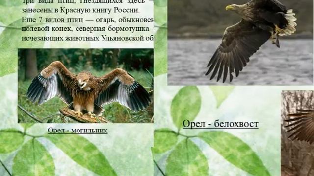 По заповедным местам нашего края