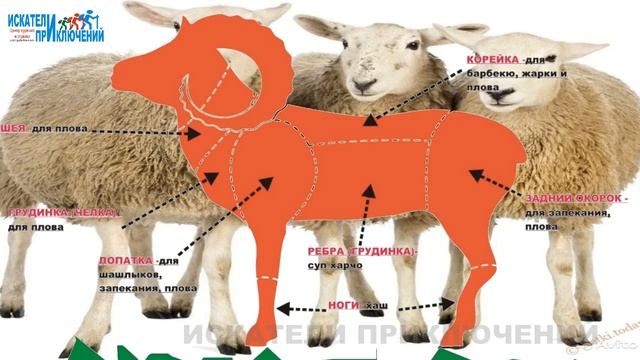 Шурпа или Шорпа. Рецепт Карачаевская шорпа из баранины. Гастротур. Искатели приключений смотреть онлайн