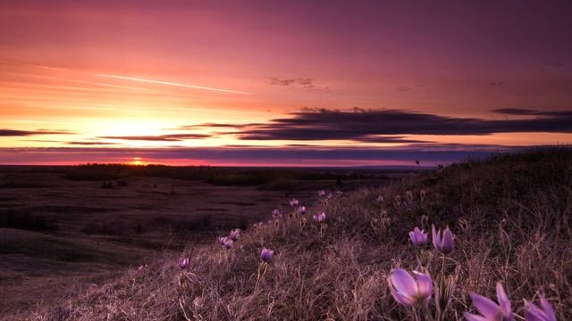 Wonder music - Escorting смотреть онлайн