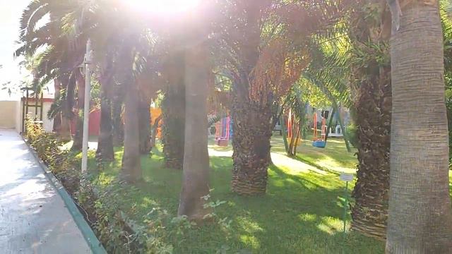 Детский Луна-парк Дельфин 🐬Платинум🦊🐰🐹🐭 смотреть онлайн