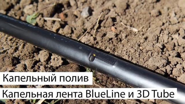 Капельный Полив Растений смотреть онлайн