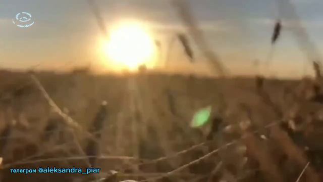 Просто Любить смотреть онлайн