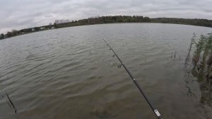 Видеоминутка. Рыбхоз Гжелка .Нагульный пруд. Много времени -мало толку.