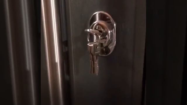 Парадная тамбурная дверь с отделкой МДФ шпон смотреть онлайн