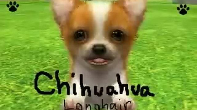 Nintendogs+Cats: Starting Dog breeds of the 3 versions смотреть онлайн