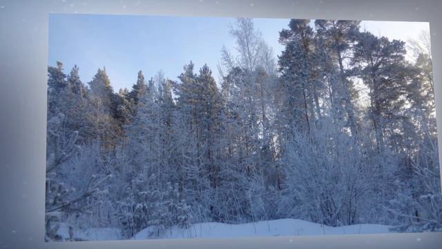 Прогулка в зимнем лесу смотреть онлайн