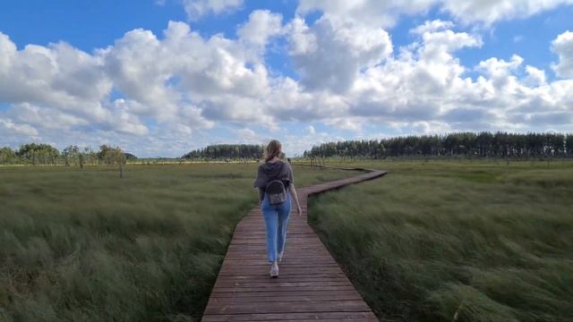 В Поисках Волшебного Болота смотреть онлайн