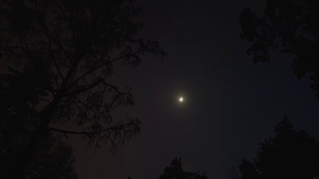 луна любит землю по кругу (кавер) смотреть онлайн