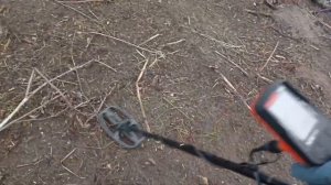 Открытие сезона 2023 копаем с Quest x 10 pro #коп #открытиесезона #металлоискатель #монеты