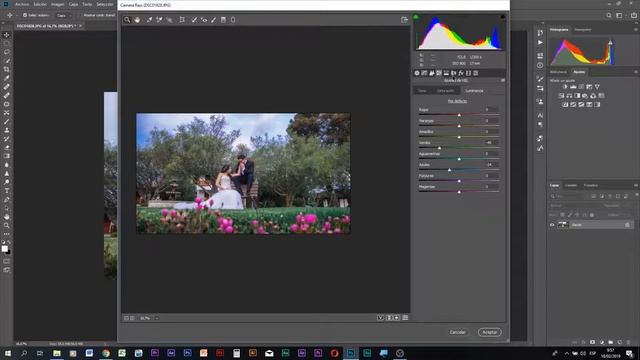 FILTRO CAMERA RAW PHOTOSHOP 2019 / RETOQUE PROFESIONAL смотреть онлайн