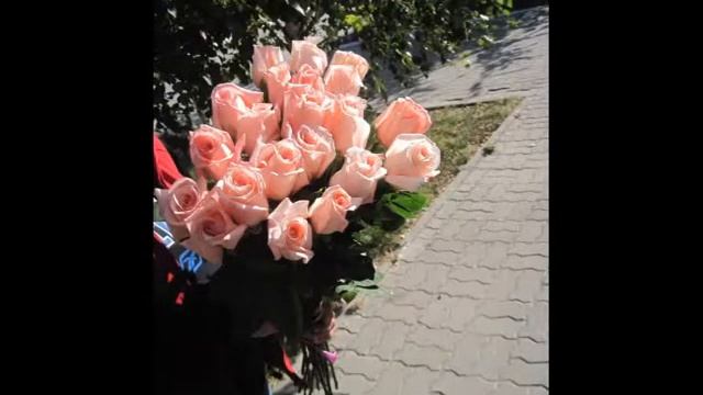 Доставка цветов по г Костанай РК,РФ 87776386998 смотреть онлайн