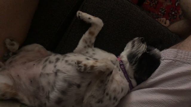 Just chilling... смотреть онлайн