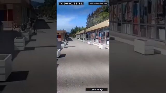 Сочи 12.05.2020 пляжи не пустые, дельфины у берега смотреть онлайн