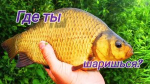 Как ловить карася весной? Где искать карася ранней весной?! Карась на поплавок! Наживка на карася !