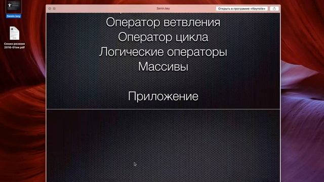Введение / Основы iOS программирования в Xcode, язык Swift смотреть онлайн