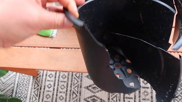 REPOTTING MY MONSTERA DELICIOSA || HOW TO REPOT смотреть онлайн