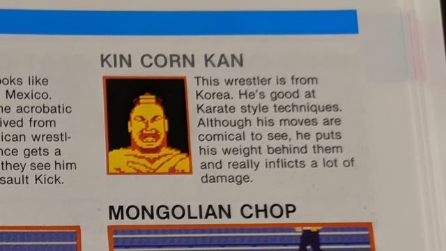 Pro Wrestling NES Secrets and History | Generation Gap Gaming смотреть онлайн
