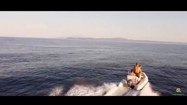 Vw t3 Syncro Overlanding смотреть онлайн