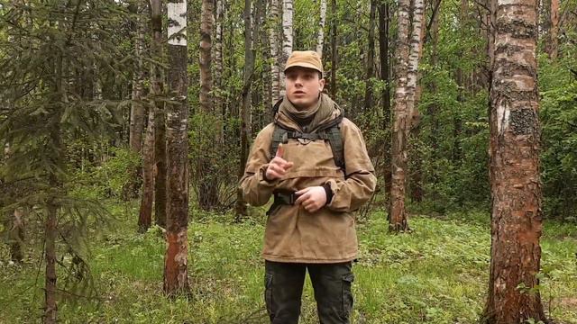 Безопасность в лесу смотреть онлайн