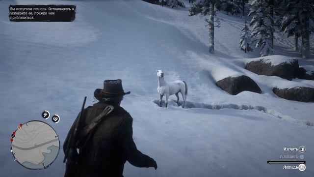 Red Dead Redemption 2 как приручить белую арабскую лошадь смотреть онлайн