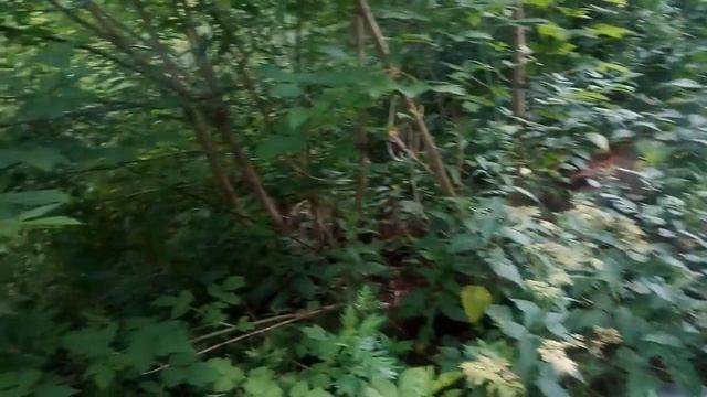 Поездка в Иваново рассказ и перспектива. смотреть онлайн