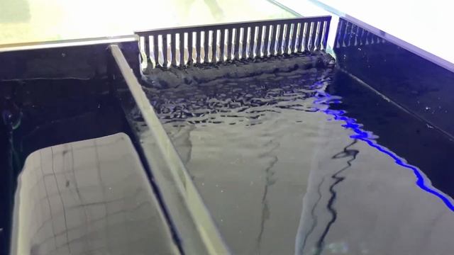 Морской аквариум с задним сампом. Cамп под полноразмерный пенник. смотреть онлайн