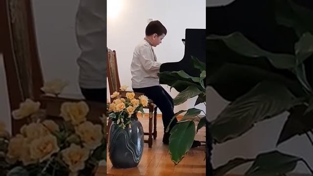 Ж. Колодуб "Зебра". Вик. Величко Павло смотреть онлайн