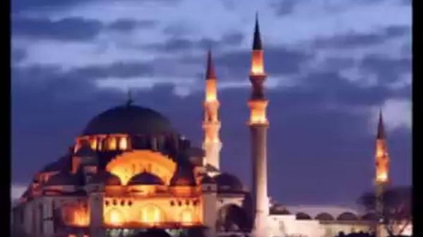 Petra Berger Roxelana