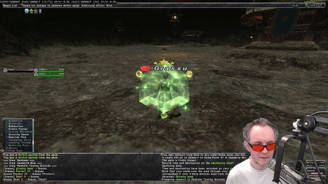FFXI *WHY AND HOW* Einherjar Battlefield смотреть онлайн